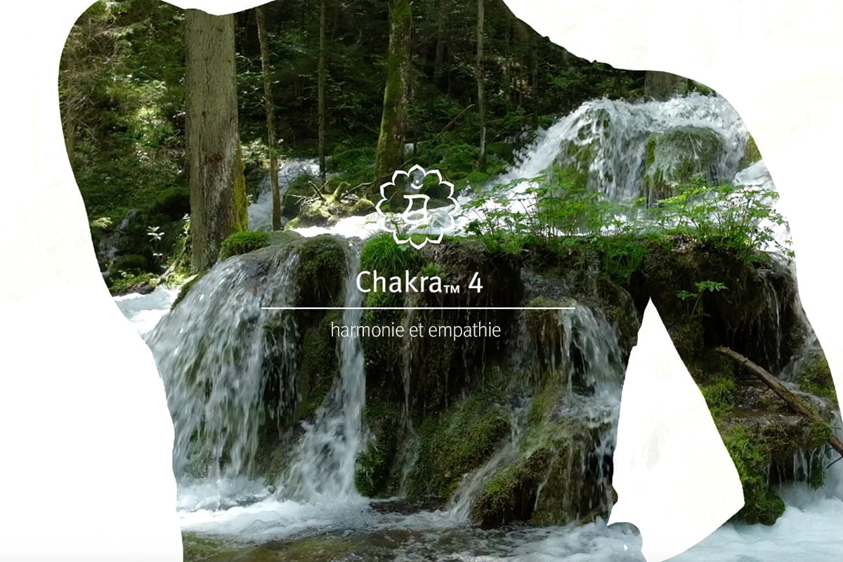 Écoutez cette méditation et vaporisez le mélange Chakra 4 pour améliorer votre expérience.