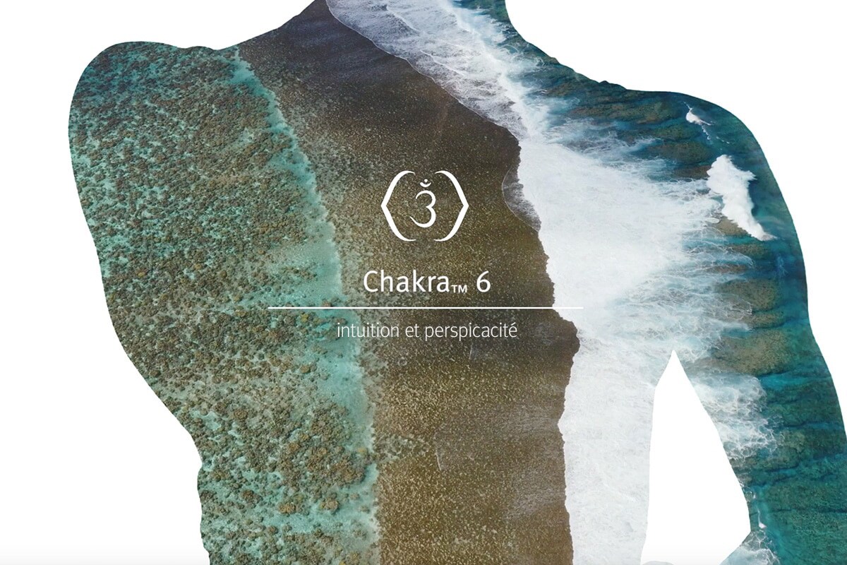 Écoutez cette méditation et vaporisez le mélange Chakra 6 pour améliorer votre expérience.