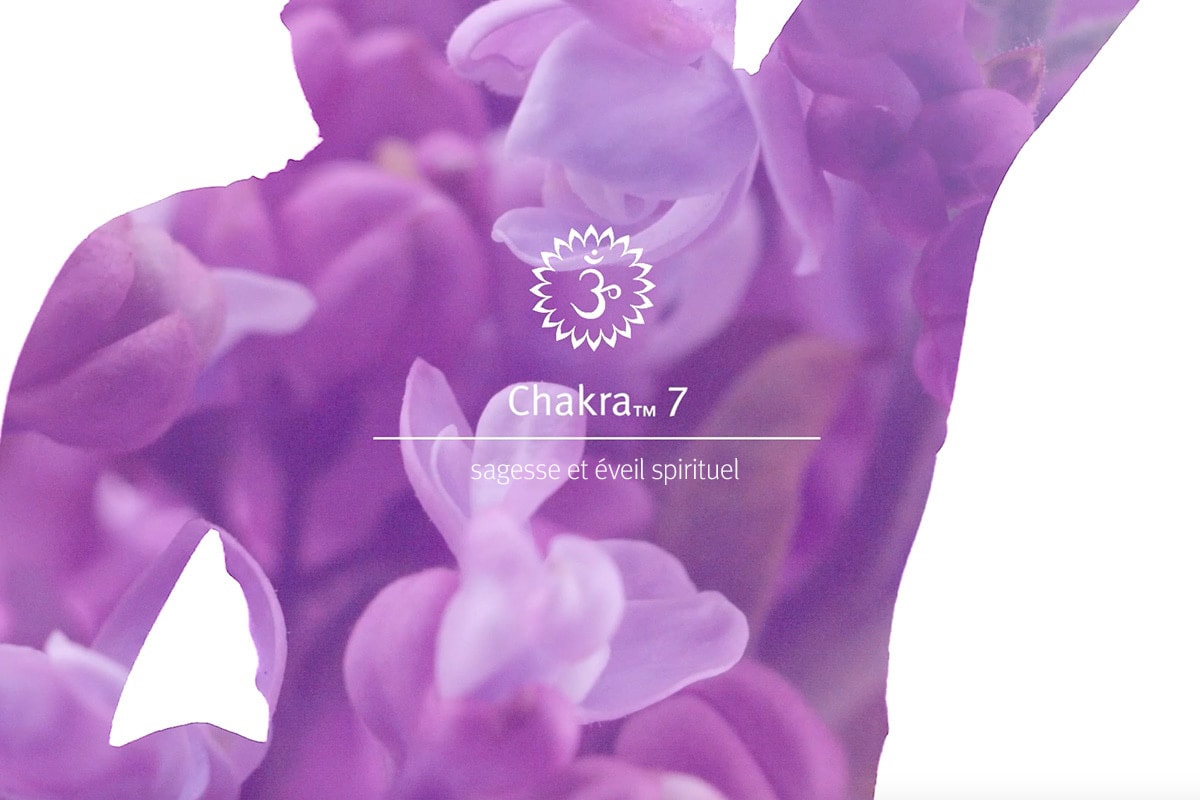 Écoutez cette méditation et vaporisez le mélange Chakra 7 pour améliorer votre expérience.