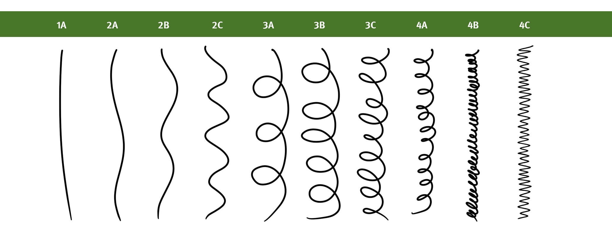 Tableau des cheveux 