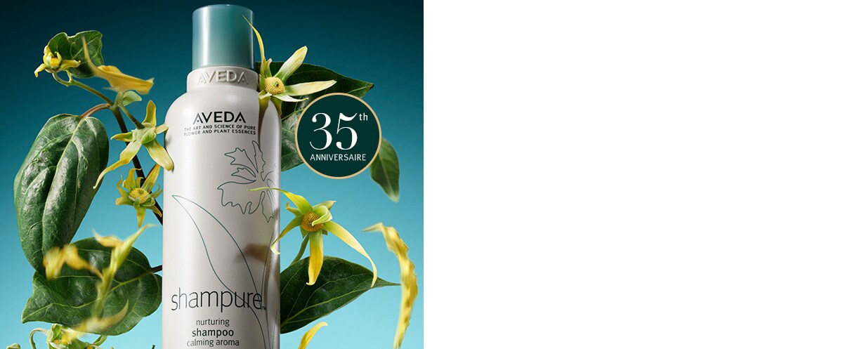 Apprenez-en plus sur la collection de cadeaux des Fêtes 2024 d’Aveda avec le créateur de mode Joseph Altuzarra