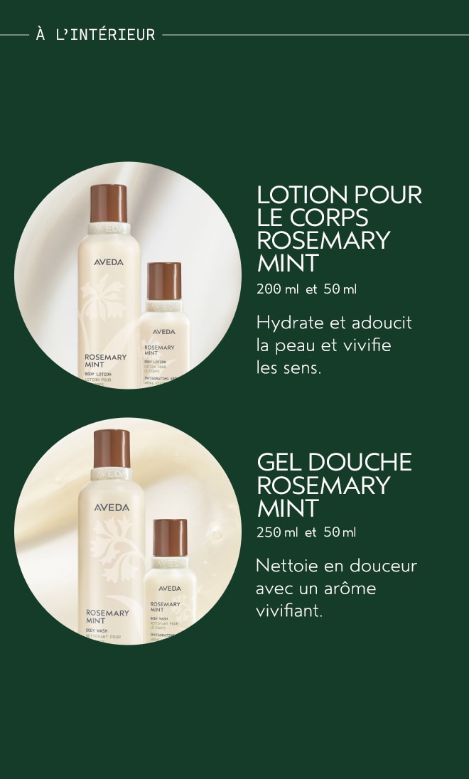 Gift of Awakening Ensemble de 4 articles pour le corps Rosemary Mint