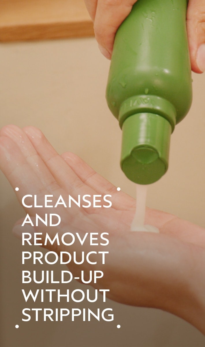 shampooing be curly advanced<span class="trade">™</span>