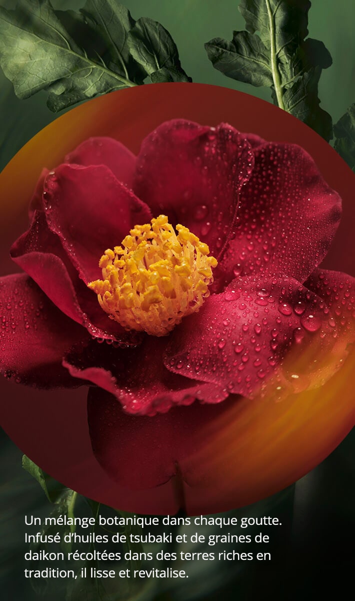 concentré haute brillance pour les cheveux à l’huile miraculeuse