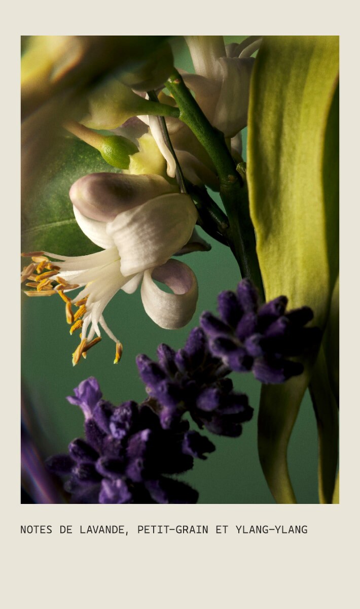 Vaporisateur volume d’ensemble Abundant Blowout