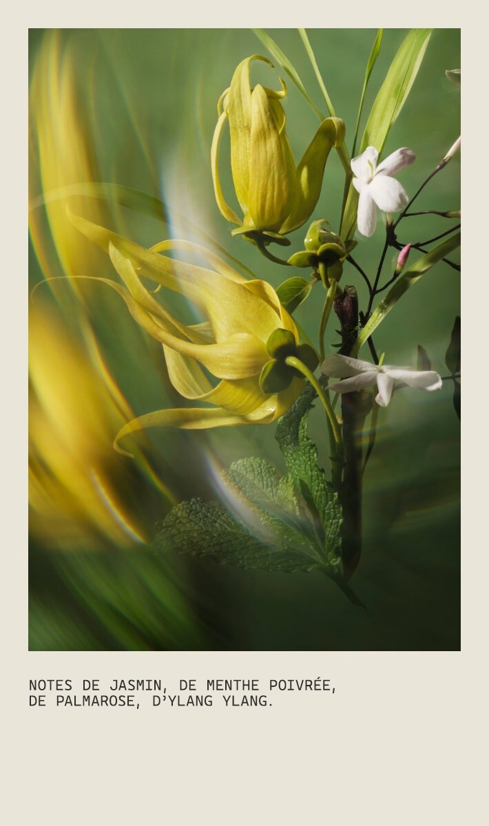 Revitalisant démêlant volumisant Pure Abundance™