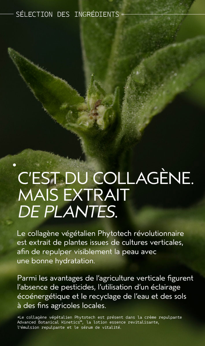 Sérum vitalité Advanced Botanical Kinetics™