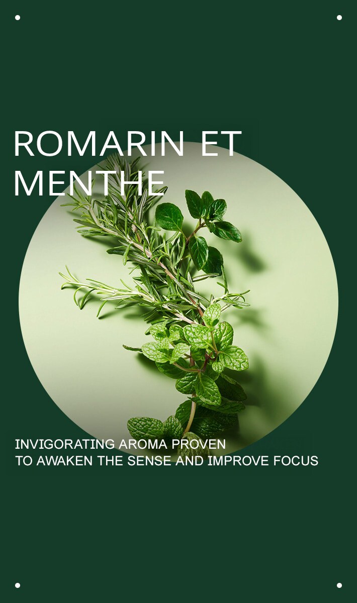 Nettoyant pour les mains et le corps Rosemary Mint