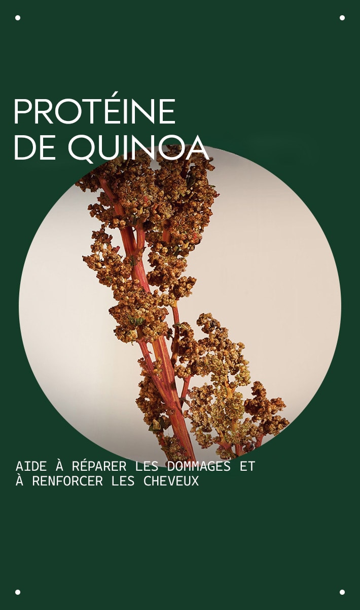 après-shampooing restructurant damage remedy<span class="trade">™</span>