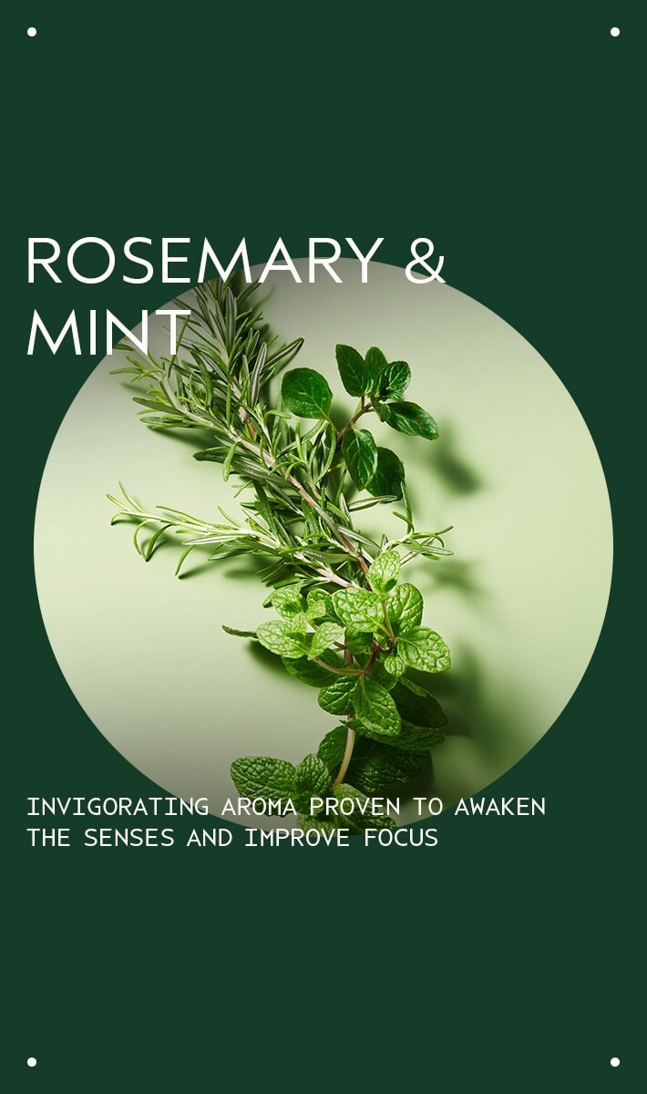 pain de savon rosemary mint