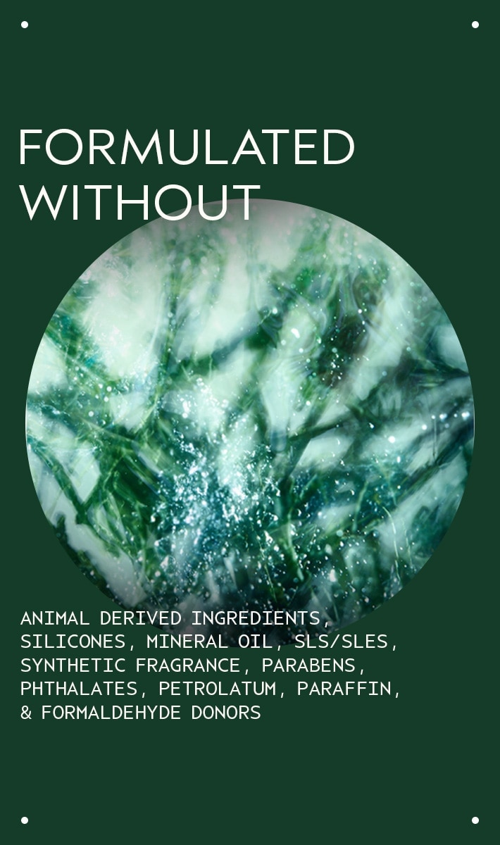 botanical kinetics<span class="trade">™</span> toning mist, 5 fl oz/150 ml