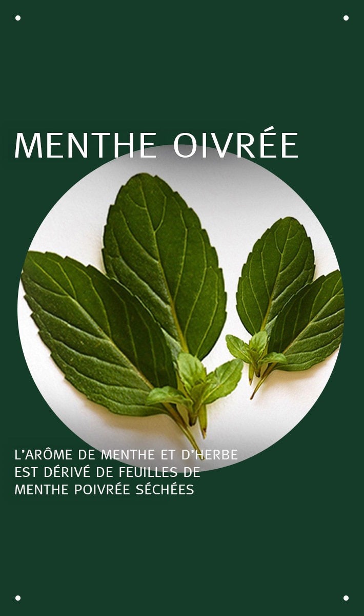 huile essentielle + base à la menthe poivrée