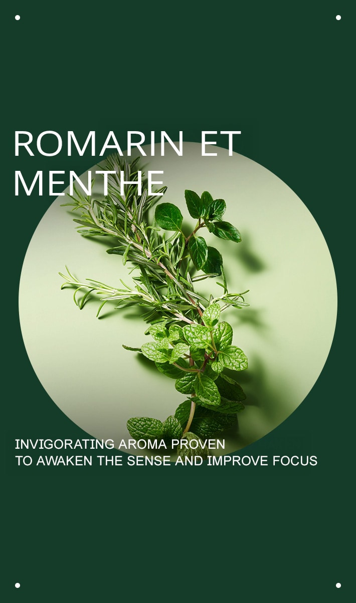shampooing purifiant rosemary mint