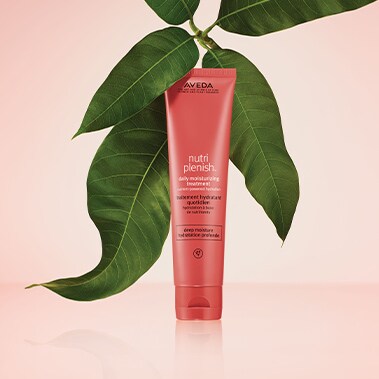 Image de produit du traitement hydratant quotidien nutriplenish™.