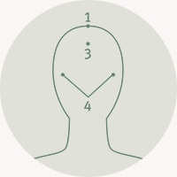 Étape 3 : Continuer à masser le long des côtés de la tête. 