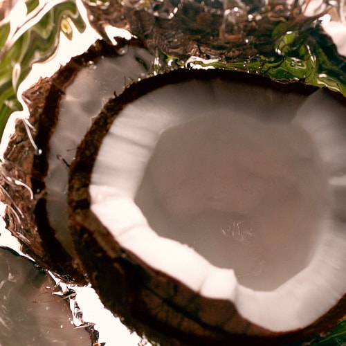 Huile de noix de coco biologique