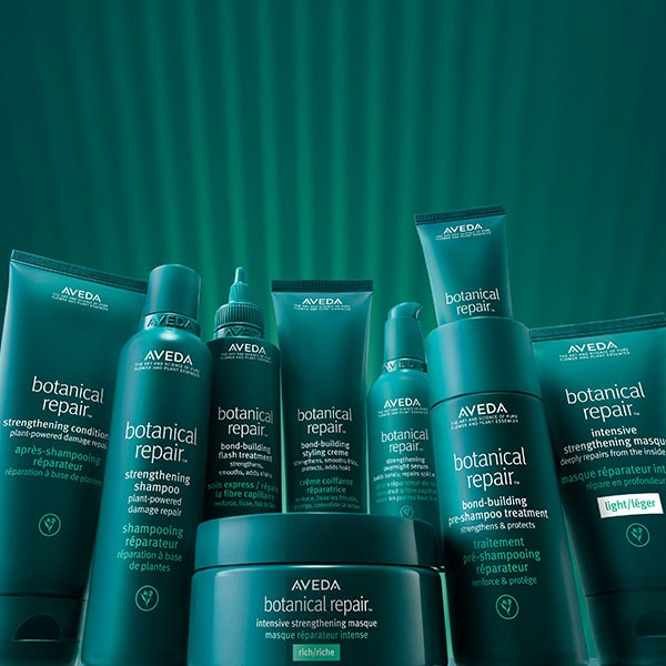 Réparez les cheveux abîmés instantanément grâce aux soins des cheveux botaniques