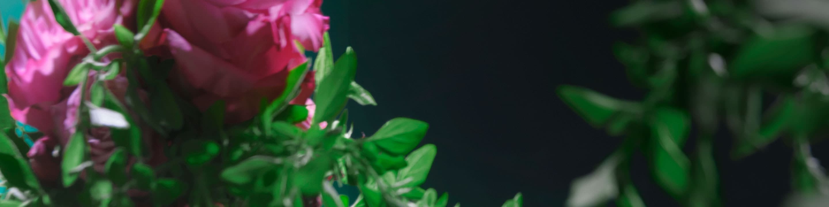 Imprégnez vos cheveux de Botanical Repair Pure Fume