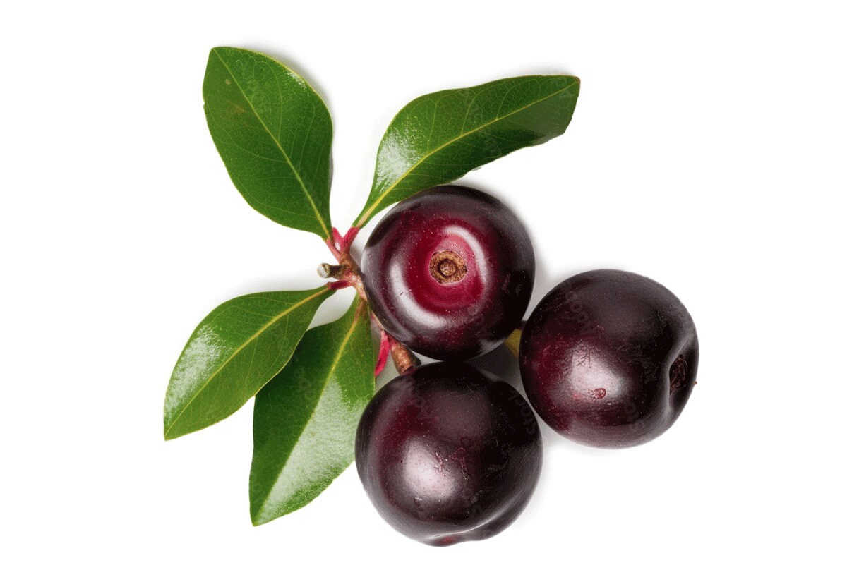 Découvrez-en plus sur le beurre de graines de kokum