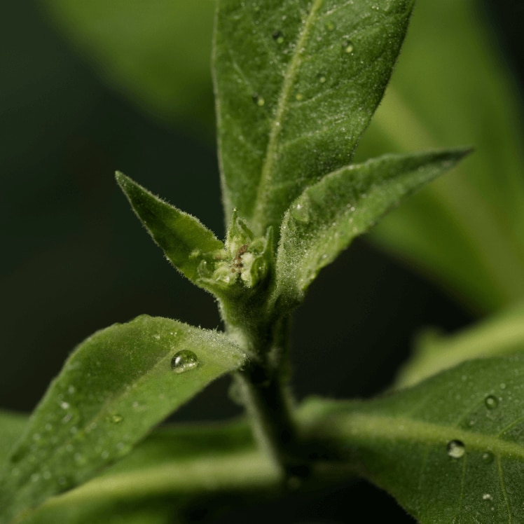 Magasinez les produits de soins du corps