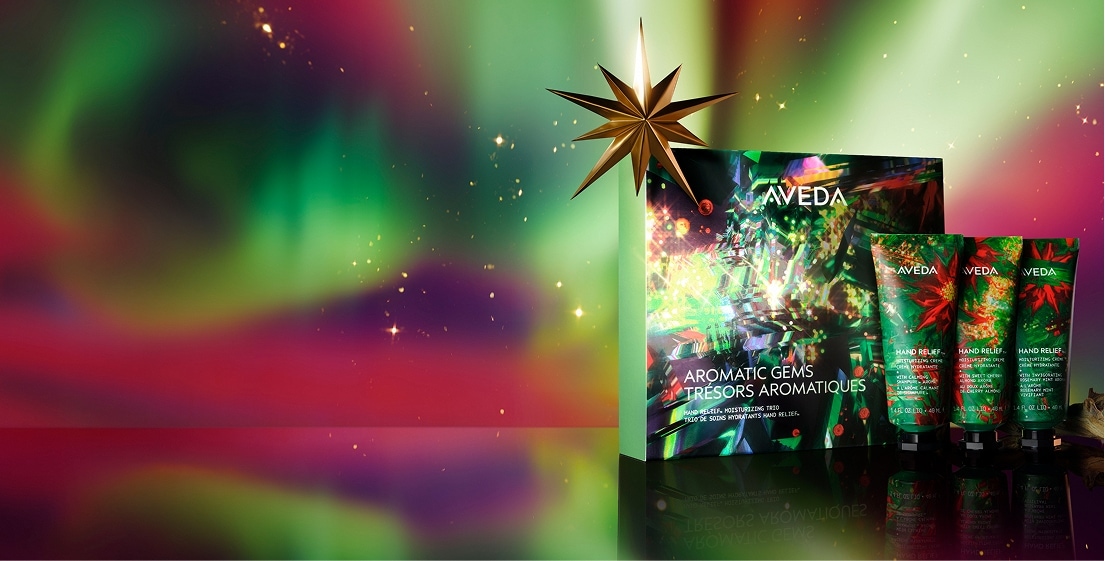 Magasiner les meilleurs cadeaux d’Aveda à moins de 55 $