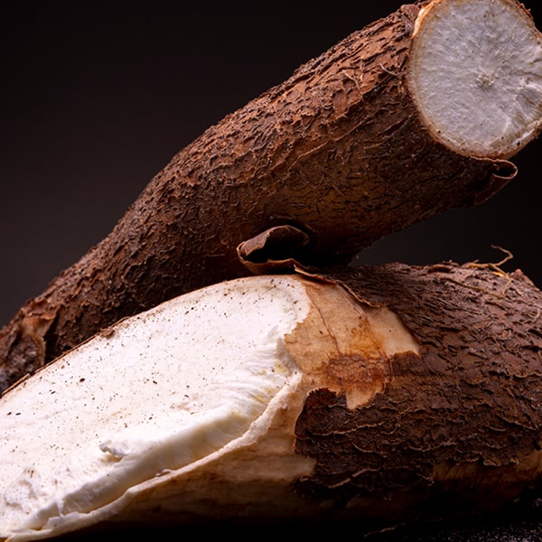 EXTRAIT DE MANIOC