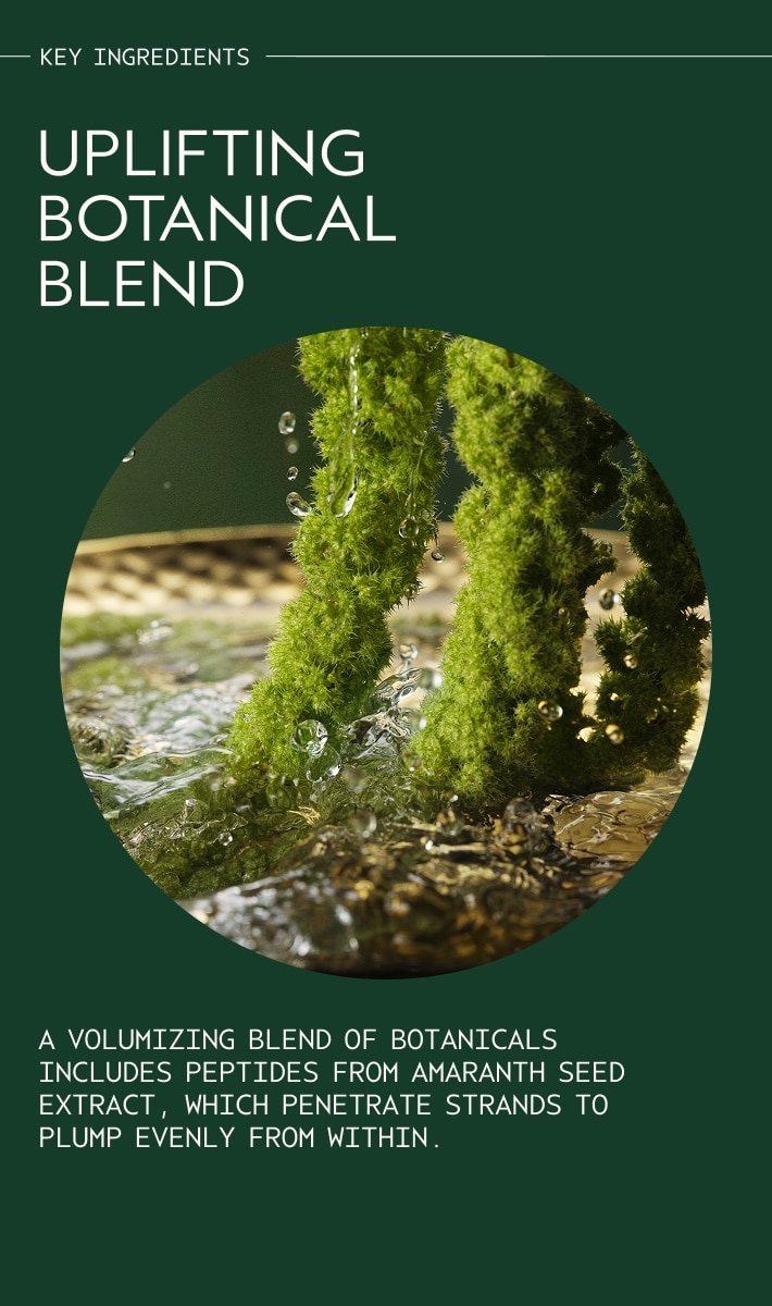 shampooing volumateur pure abundance™