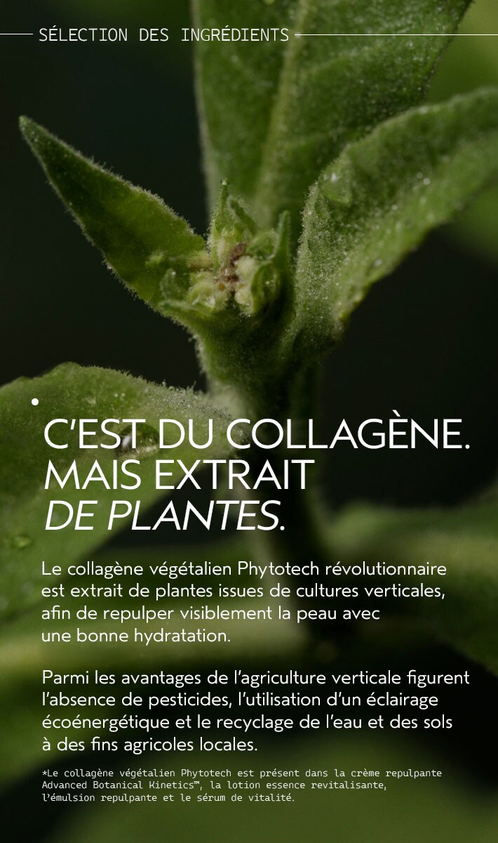 Crème repulpante Advanced Botanical Kinetics™