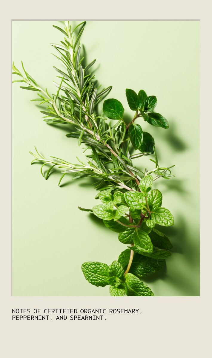 Chandelle de cire de soja végane Light The Way™ en édition limitée, à l'arôme Romarin et menthe, 4,4 oz/125 g