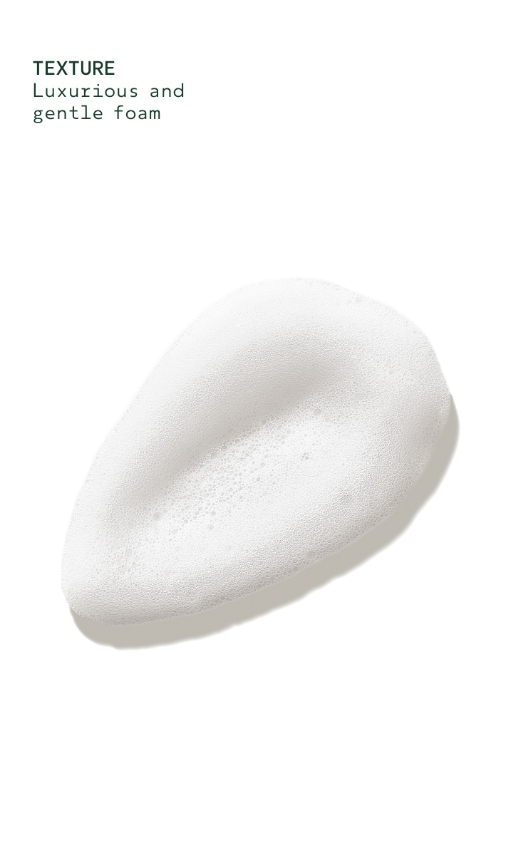 Nettoyant moussant pour les mains Shampure™ 