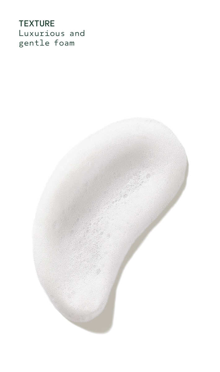 Nettoyant moussant pour les mains Rosemary Mint