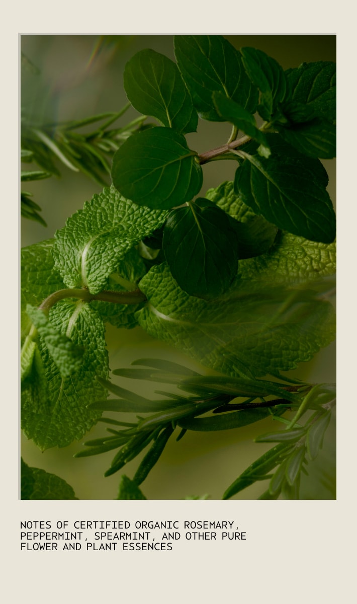 Nettoyant moussant pour les mains Rosemary Mint