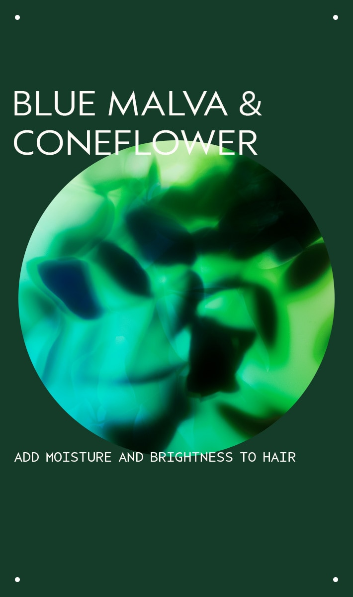 Revitalisant coloré mauve bleue