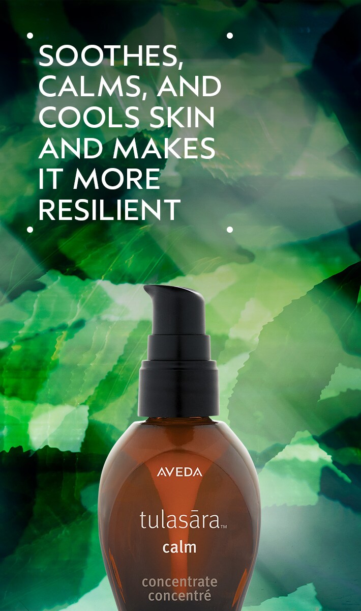 concentré calm tulasāra<span class="trade">™</span> 