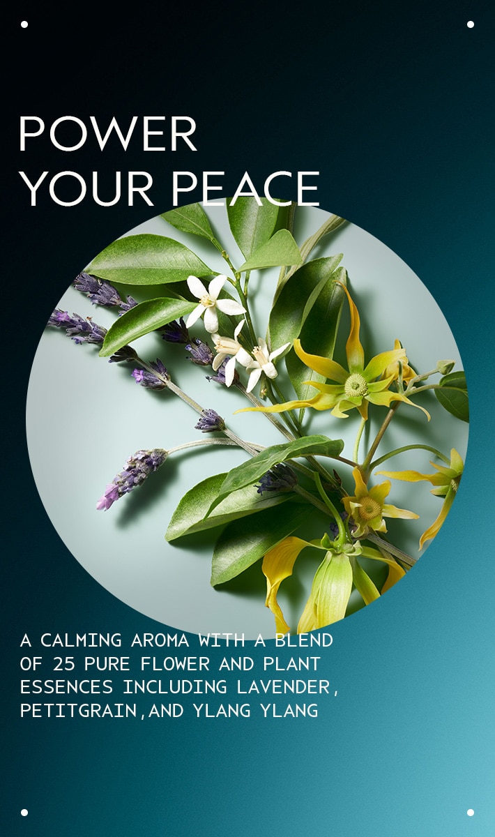 shampoing sec shampowder<span class="trade">™</span>